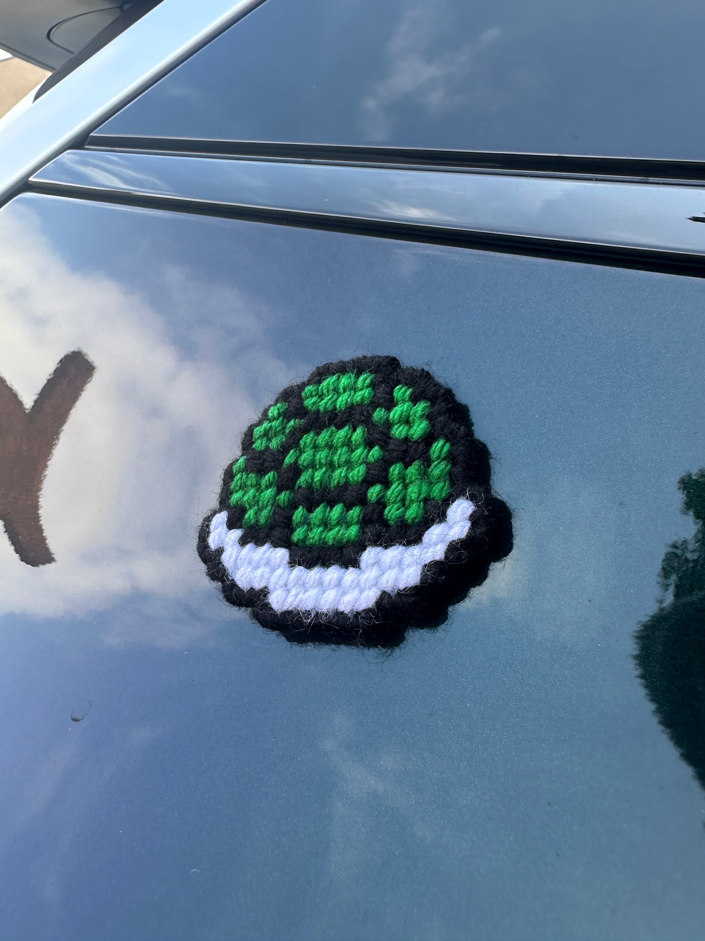 turtle shell magnet